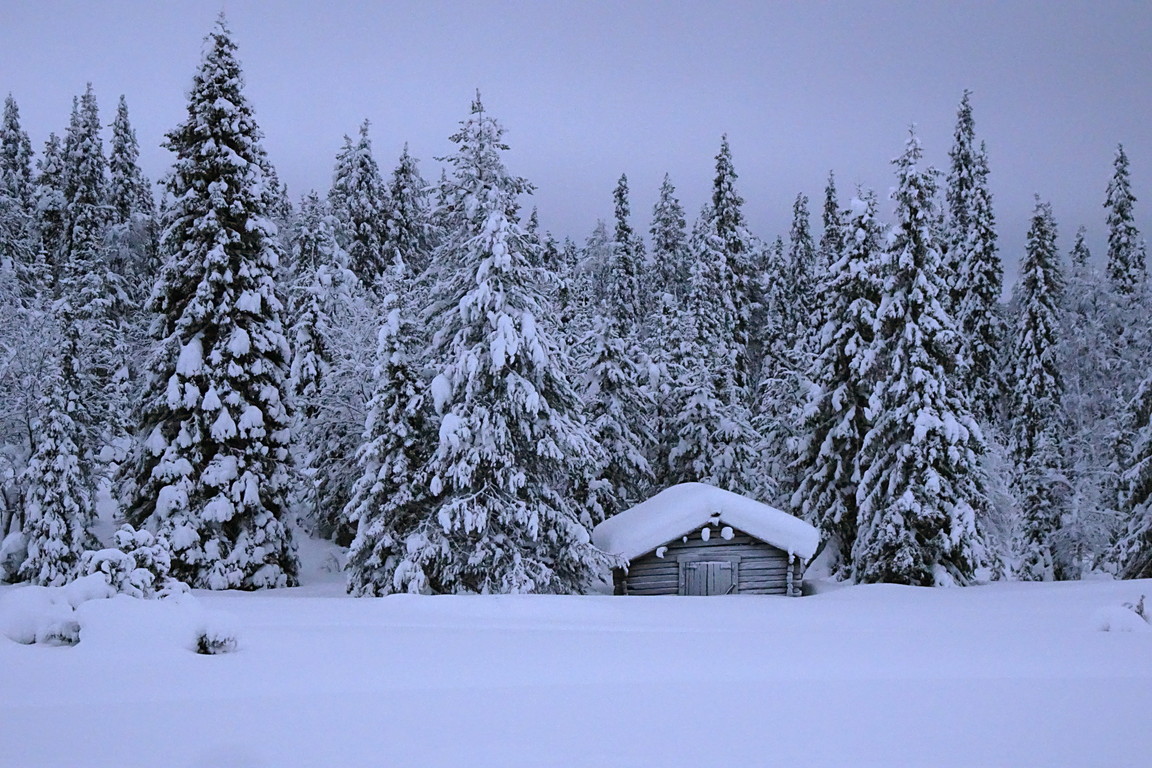 Schneelandschaft,verschneite Bäume und Scheune 